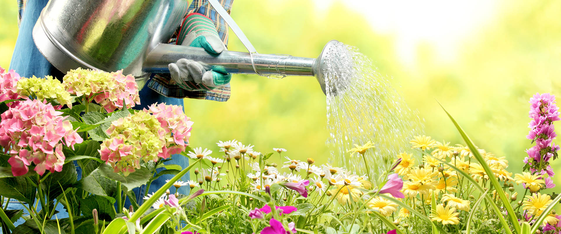 drastic water by laws proposed for cape town