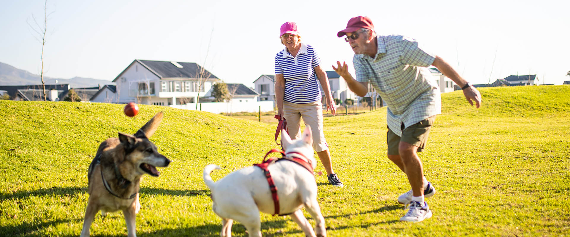 estate living and keeping pets