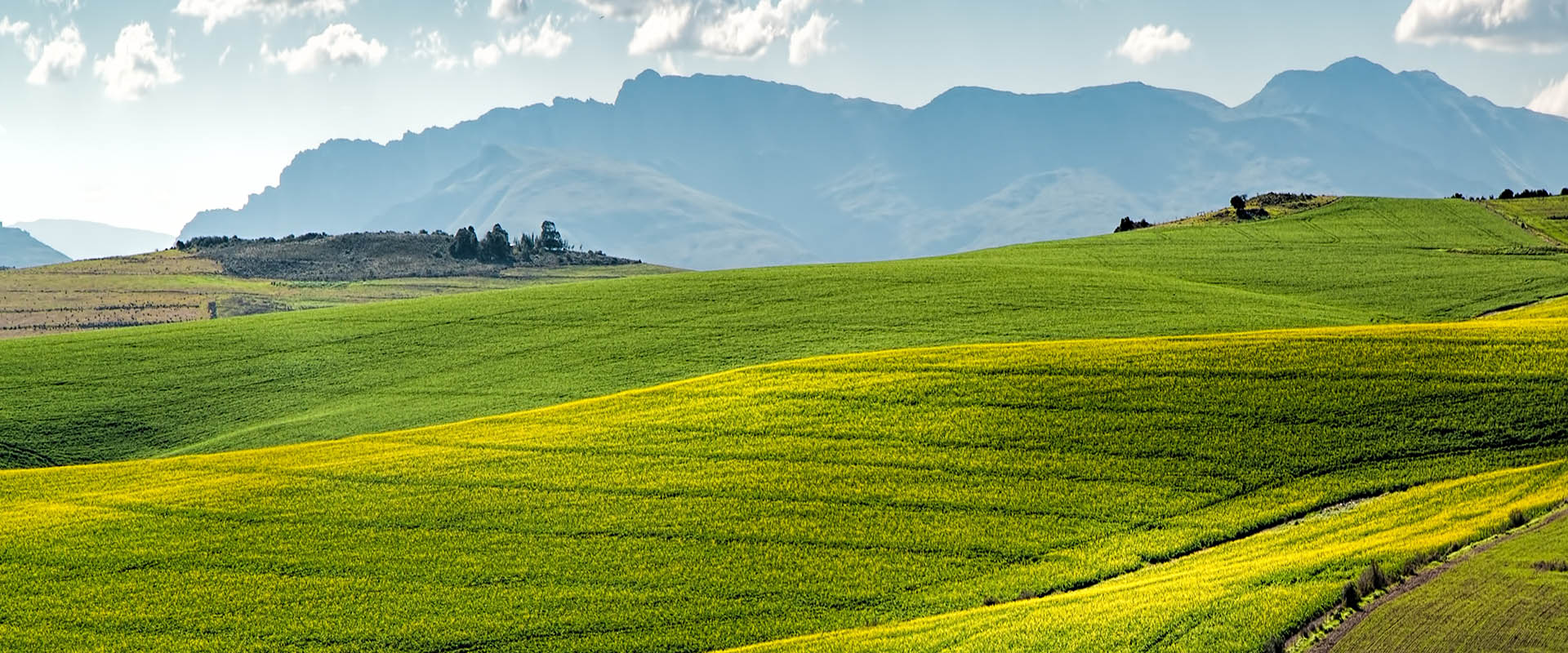 too much mystery around land reform plans