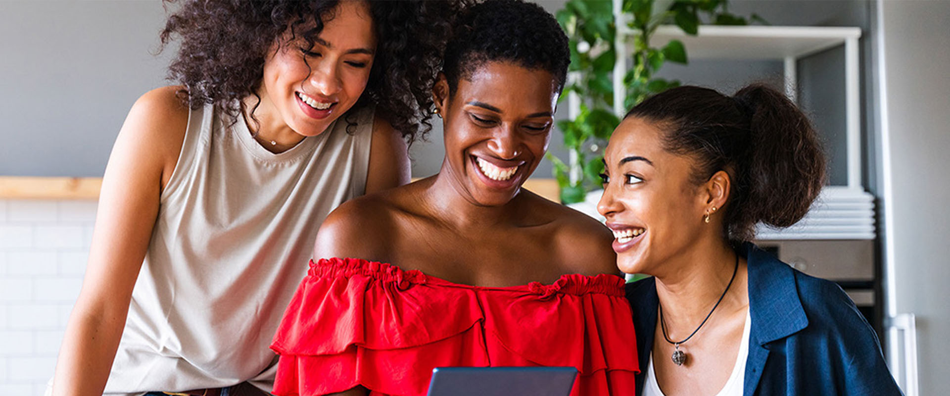 the august betterbond property brief